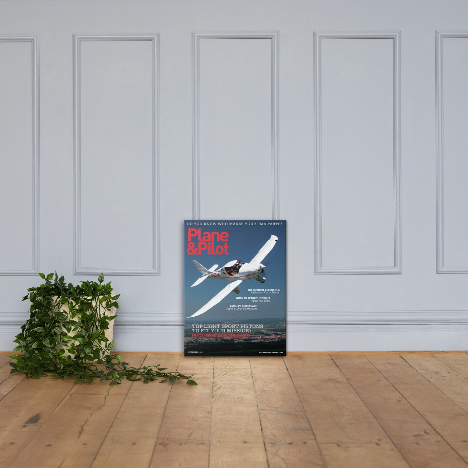 Plane & Pilot September 2023 Cover Print