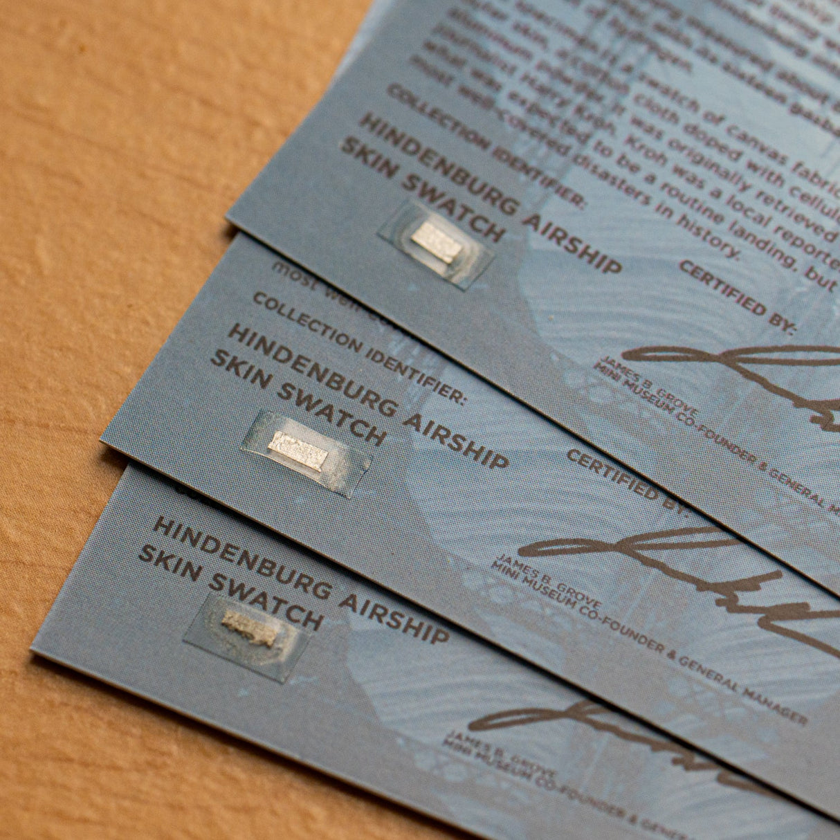 Hindenburg Airship Skin - Card Display