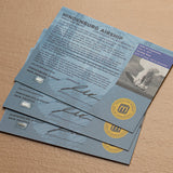 Hindenburg Airship Skin - Card Display