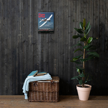 Plane & Pilot September 2023 Cover Print