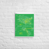 Braniff International July 1979 Airline Map Canvas