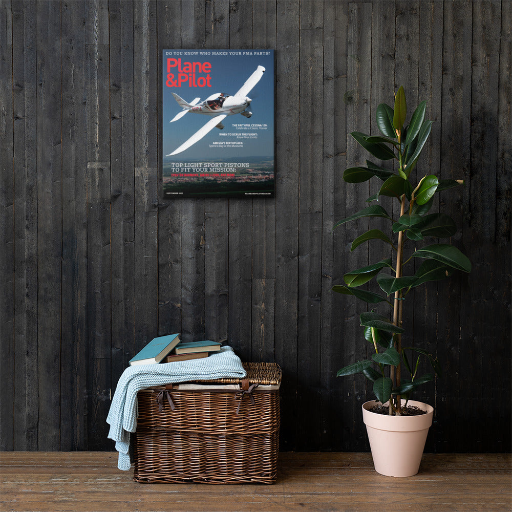 Plane & Pilot September 2023 Cover Print