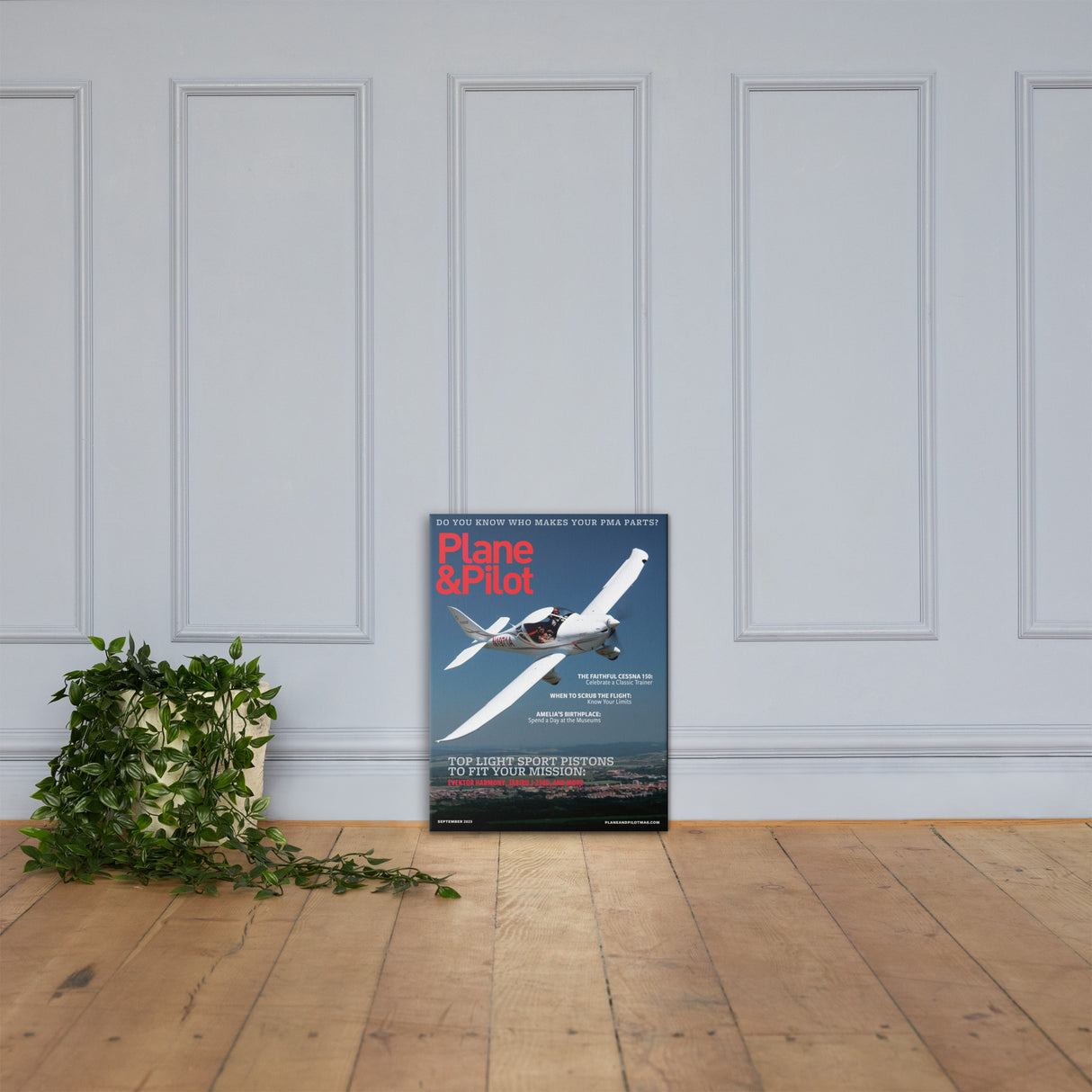 Plane & Pilot September 2023 Cover Print