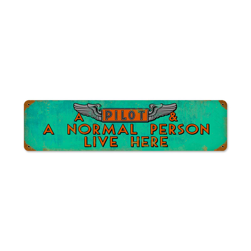 Pilot And Normal Person Metal Sign  PTS366