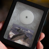 SR-71 Blackbird Fragment