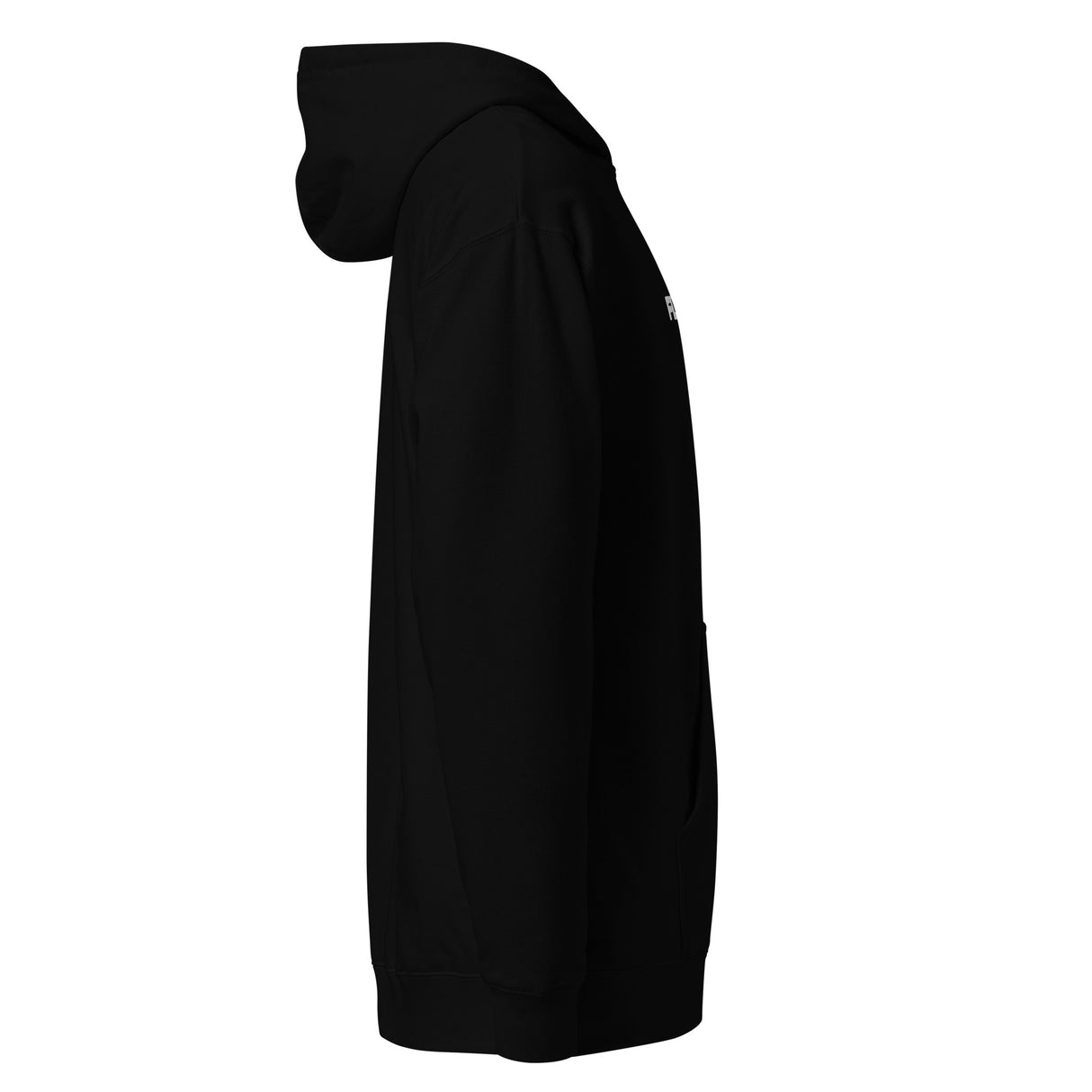FLYING Stitched Hoodie